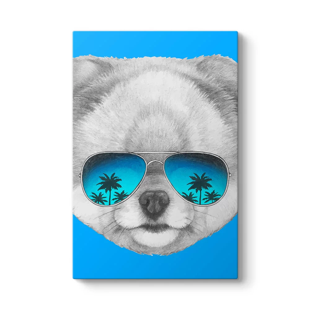 Pomeranian Boo Tablosu - Model 2